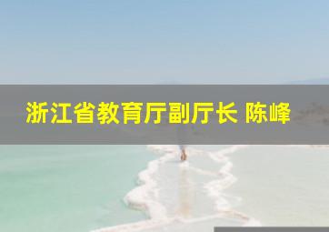 浙江省教育厅副厅长 陈峰